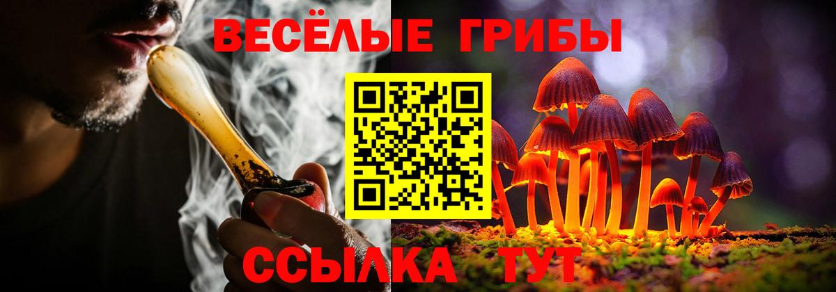 Таганрог  Галлюциногенные грибы Magic Shrooms  хочу наркоту  Псилоцибиновые грибы Cubensis  Вход с VPN 